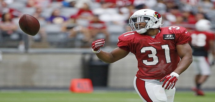 David Johnson - Arizona Cardinals