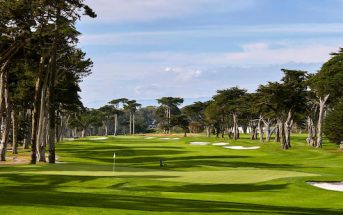 TPC Harding Park